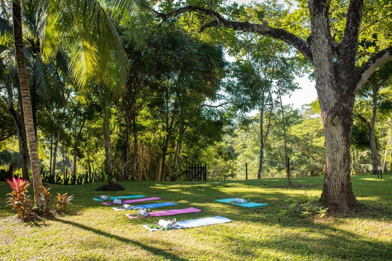 Sweet Songs Jungle Lodge San Ignacio Buitenkant foto