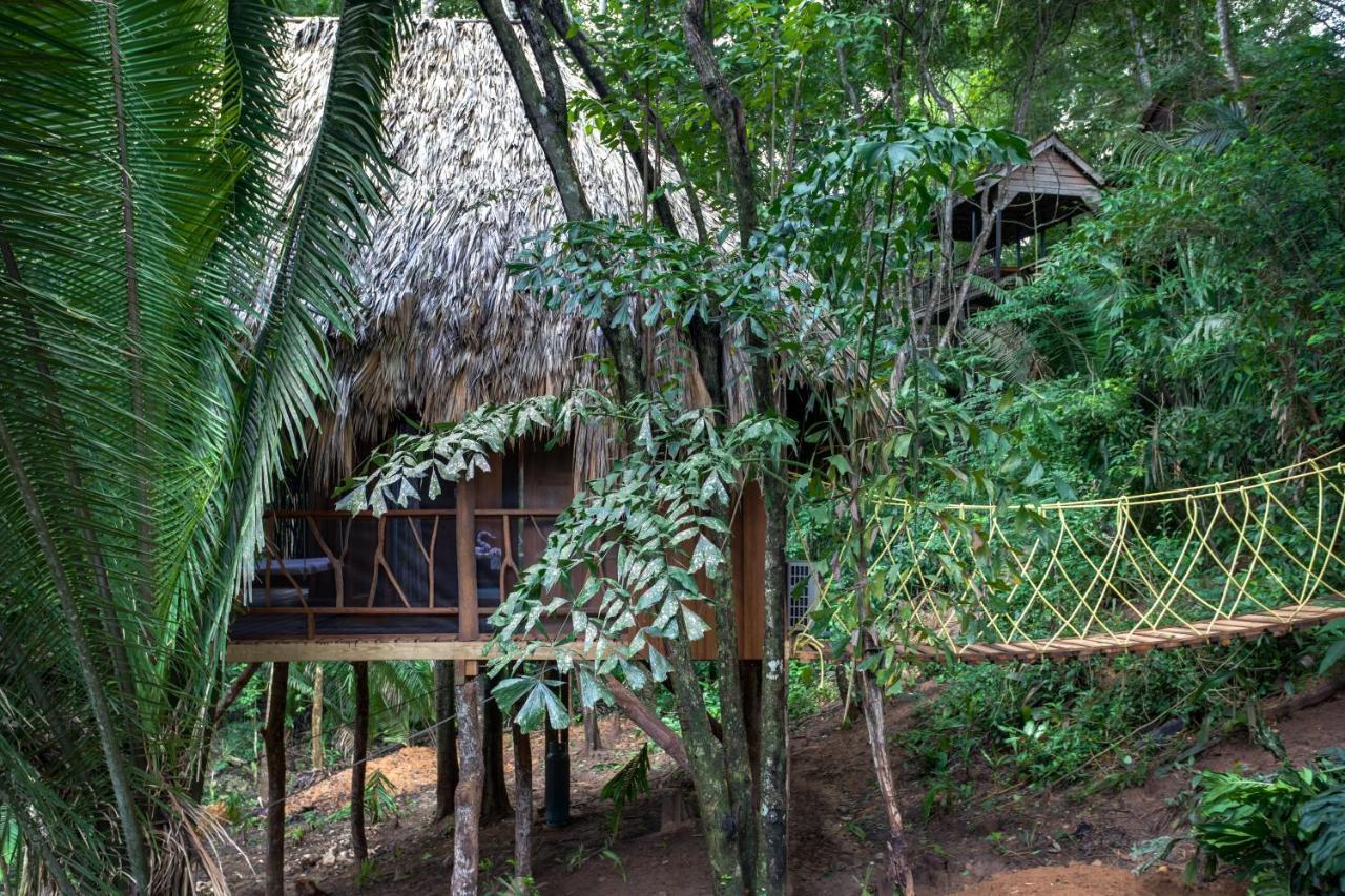Sweet Songs Jungle Lodge San Ignacio Buitenkant foto