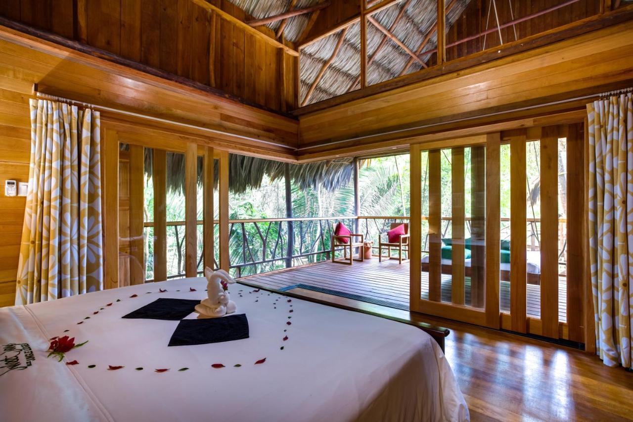Sweet Songs Jungle Lodge San Ignacio Buitenkant foto