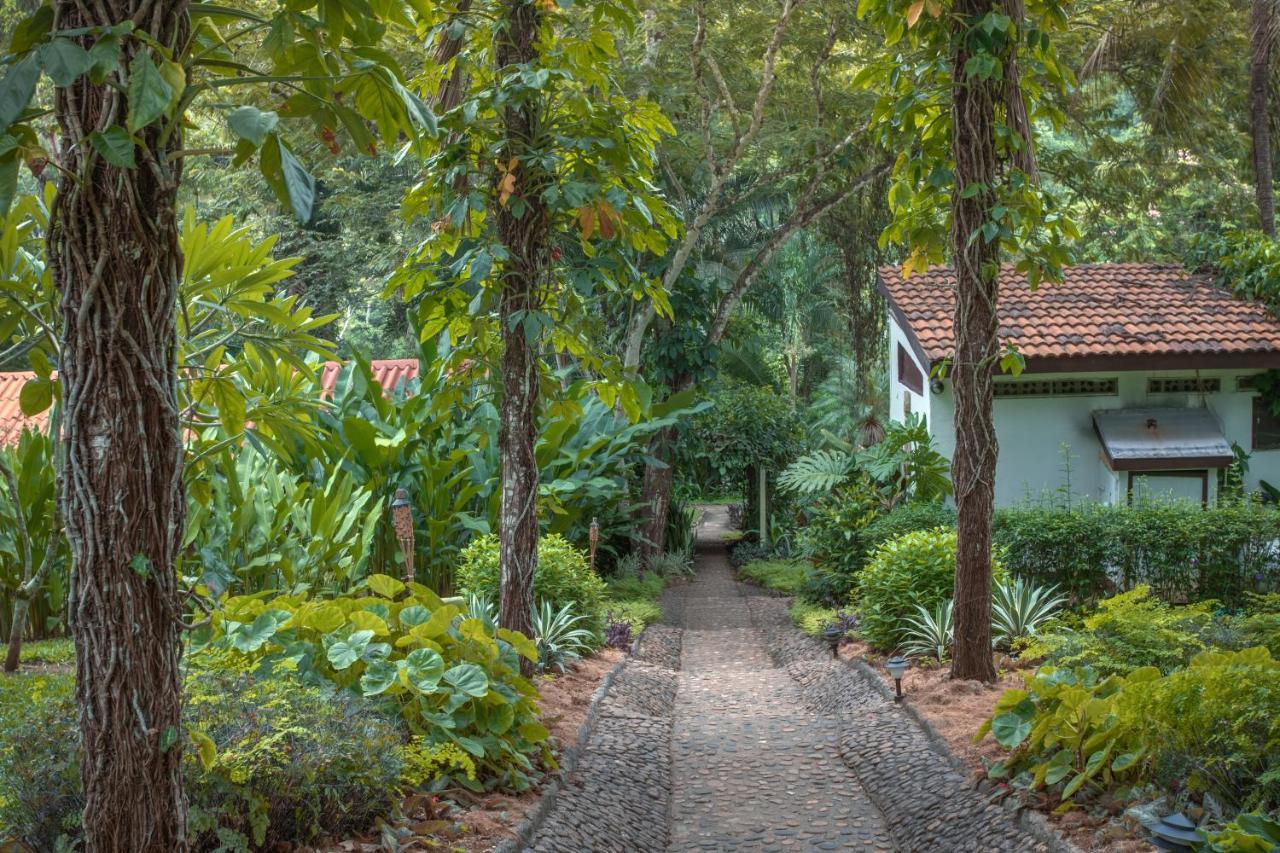 Sweet Songs Jungle Lodge San Ignacio Buitenkant foto