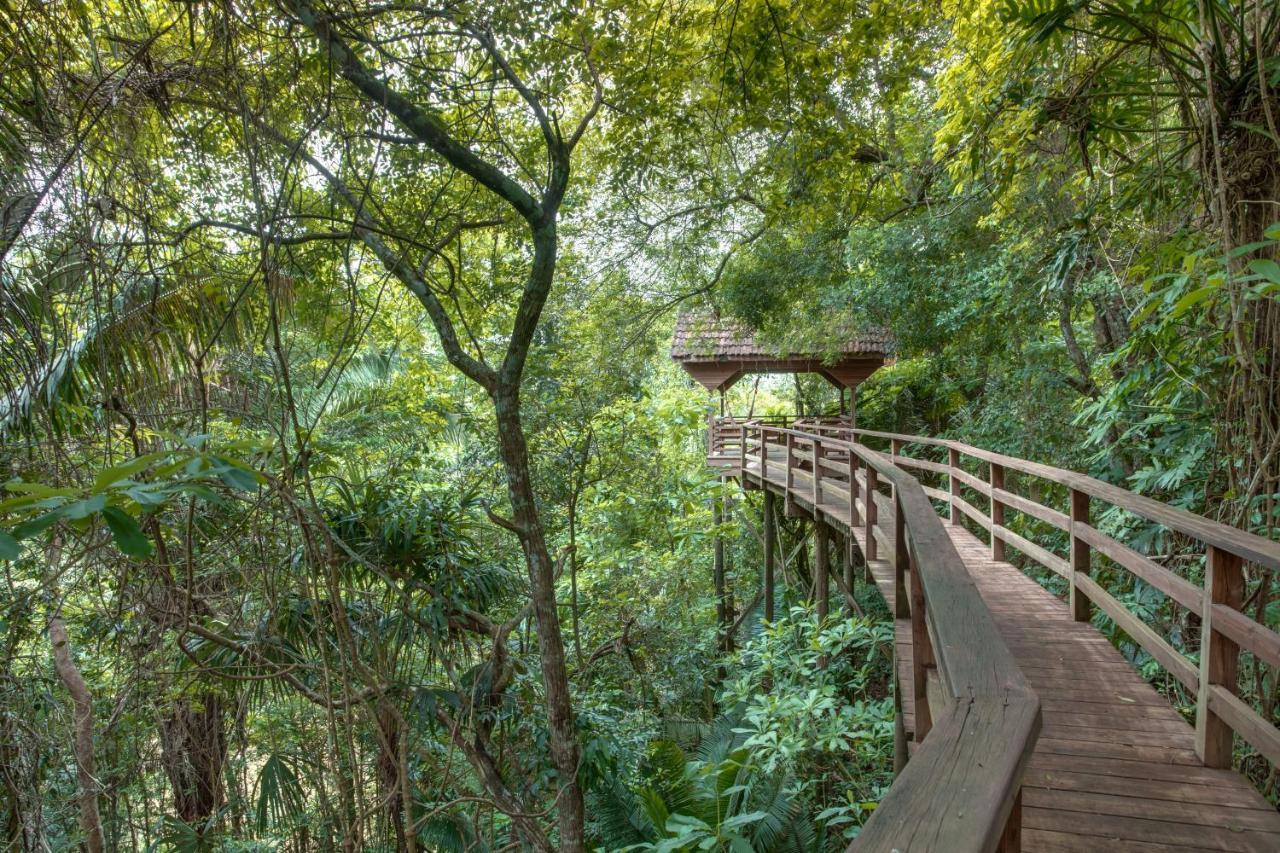 Sweet Songs Jungle Lodge San Ignacio Buitenkant foto