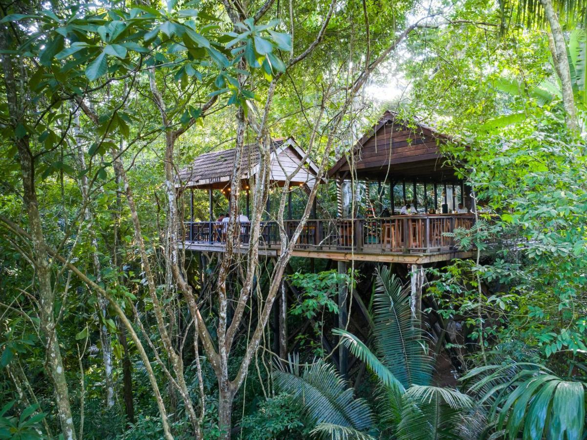 Sweet Songs Jungle Lodge San Ignacio Buitenkant foto